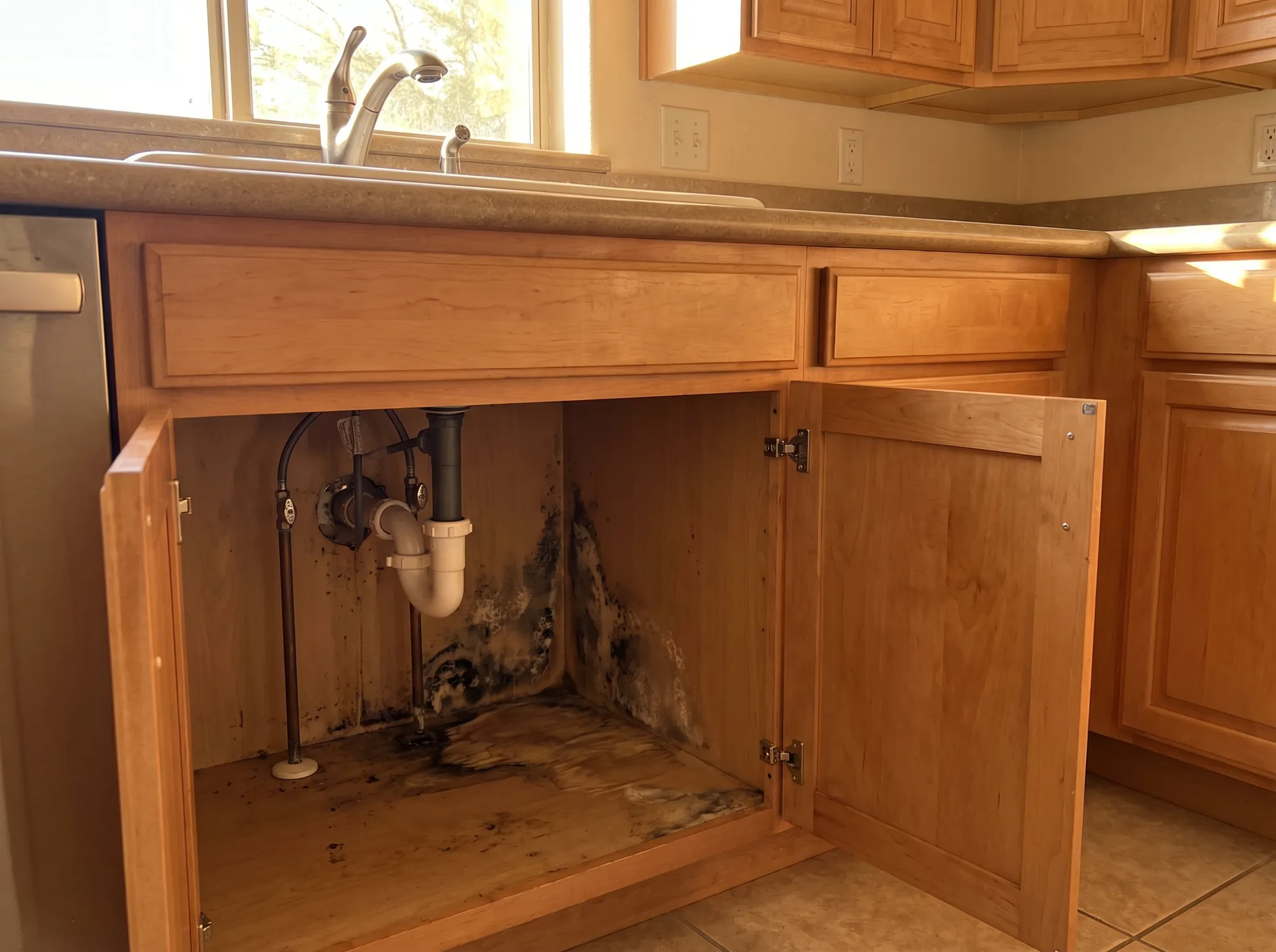 Mold Remediation