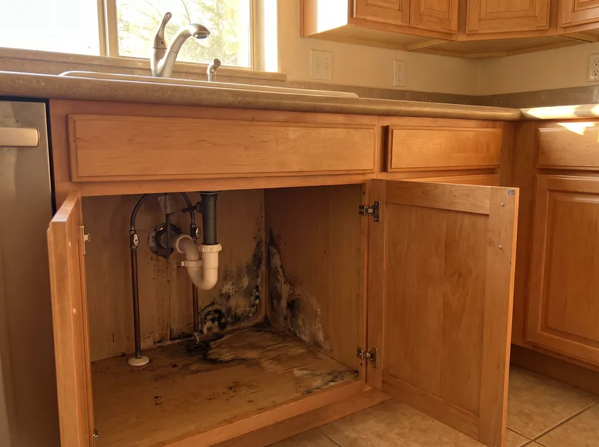 Mold Remediation